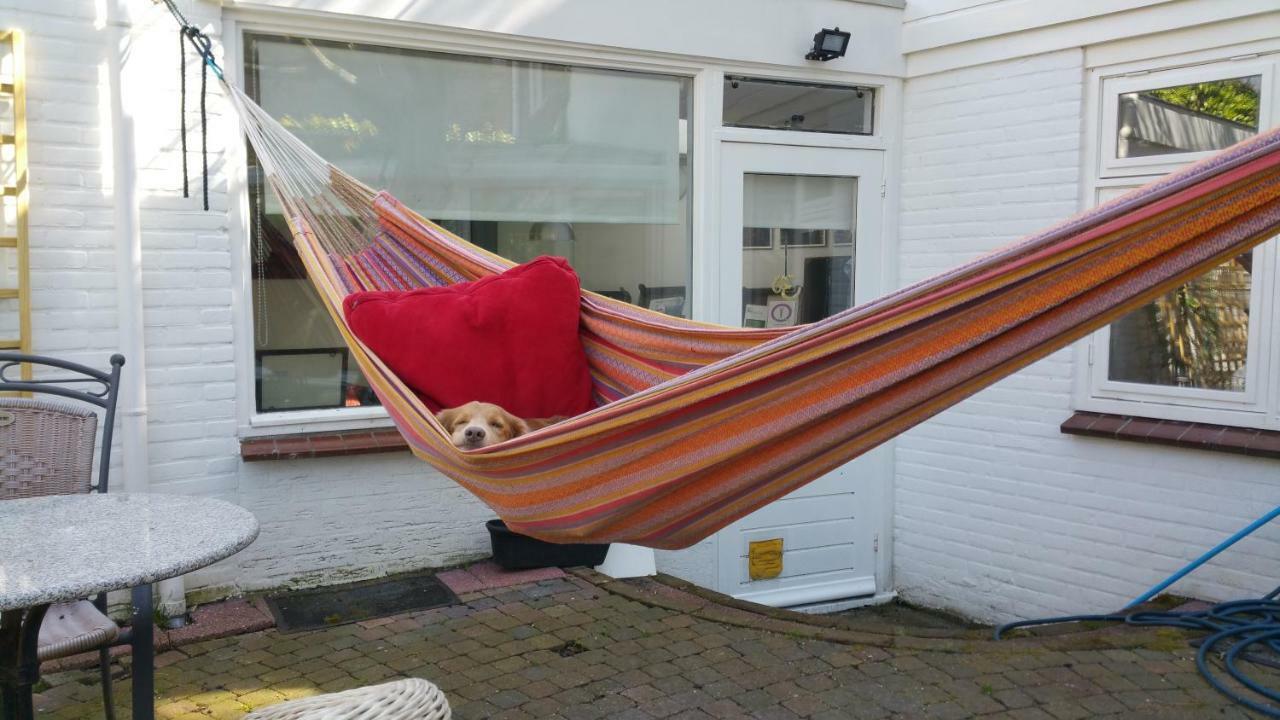 In De Stad, En Rustig Als Op Het Platteland Chalet Middelburg